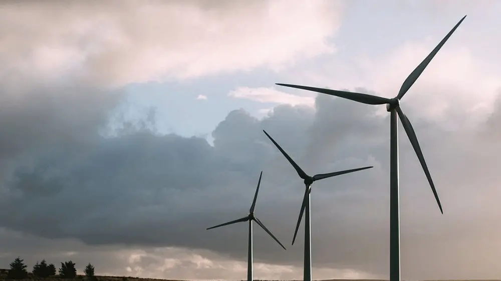 Влада поништила позив за додјелу концесије за вјетроелектрану „Трусина“