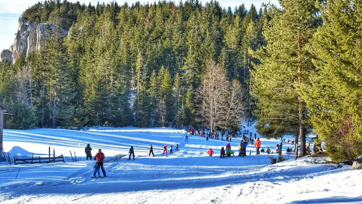 Sokolačko Planinarsko društvo "Glasinac"