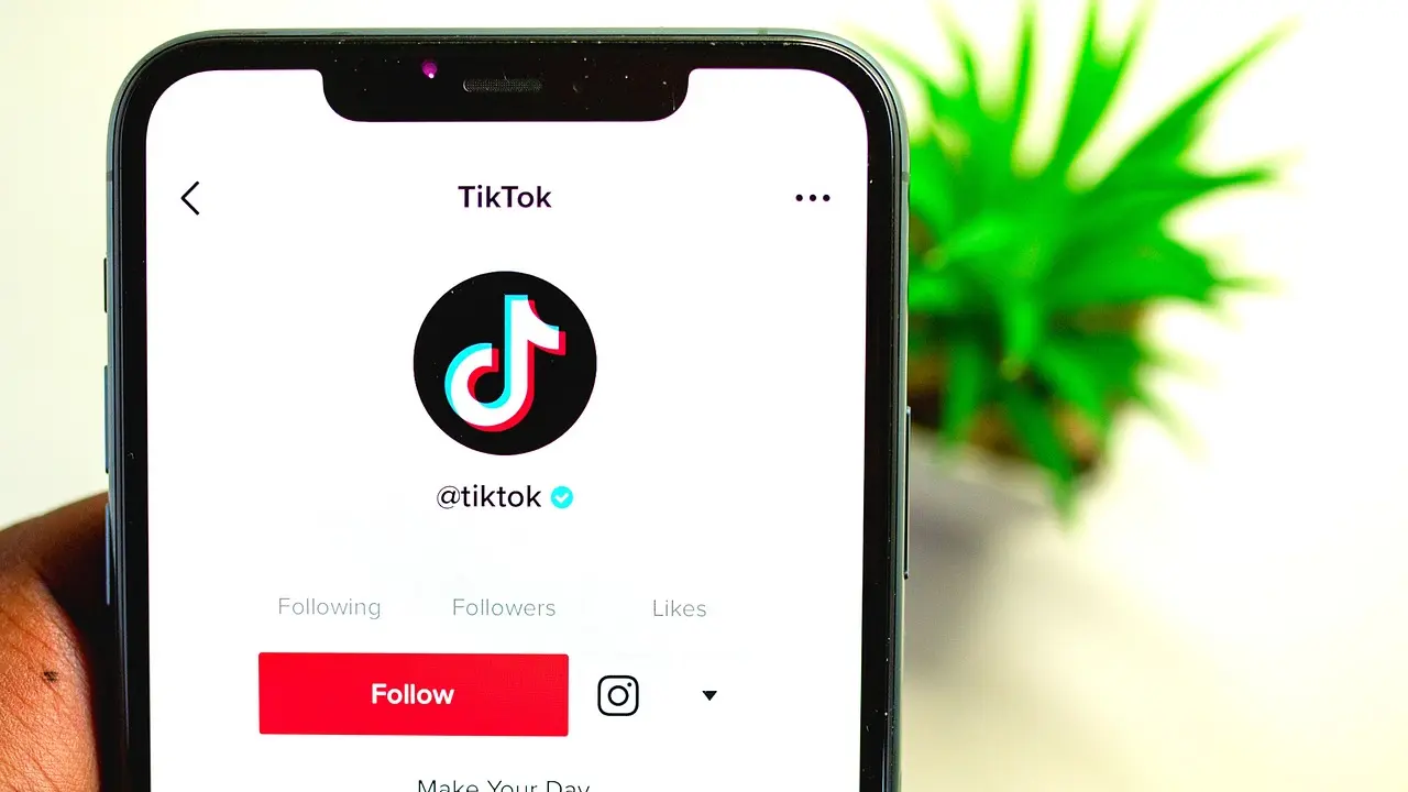 "Tiktok" obnavlja usluge i zahvaljuje se Trampu