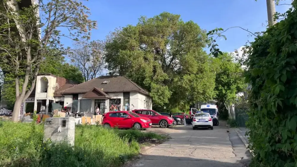 Pas napa ženu
