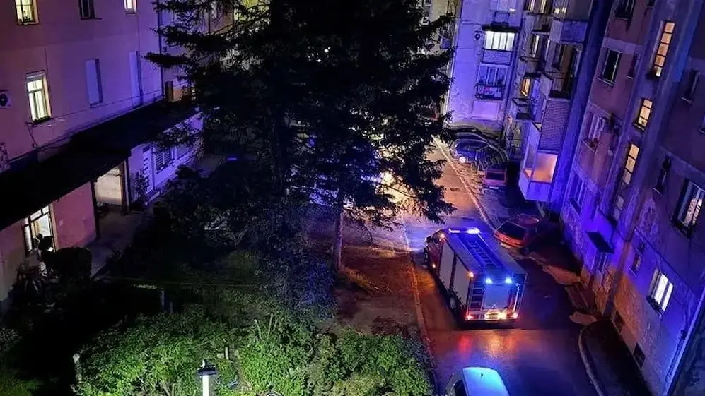 konjic zmija
