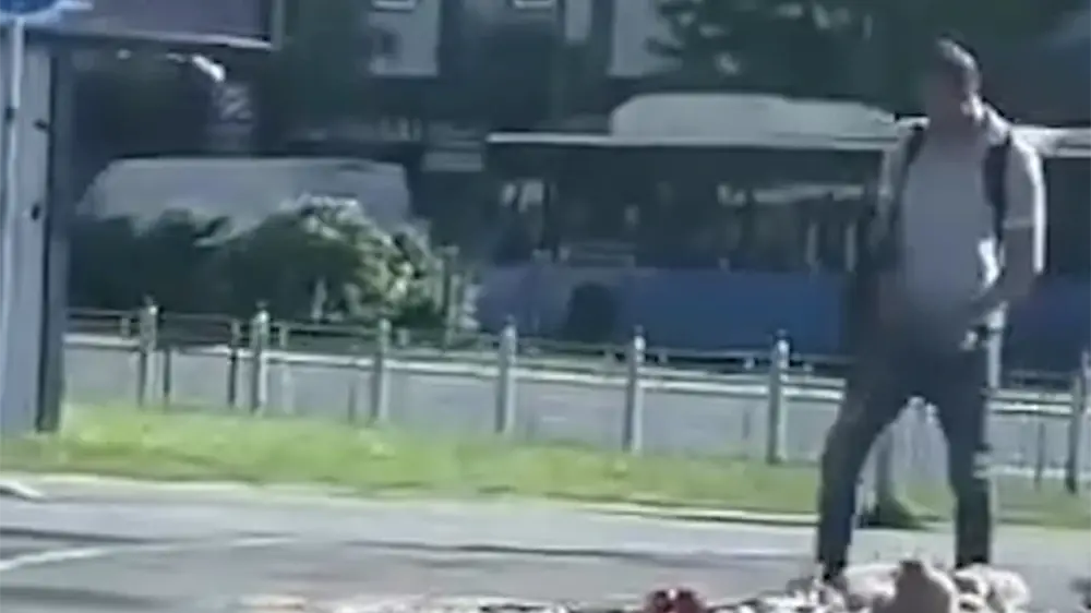 Incident u Novom Sadu