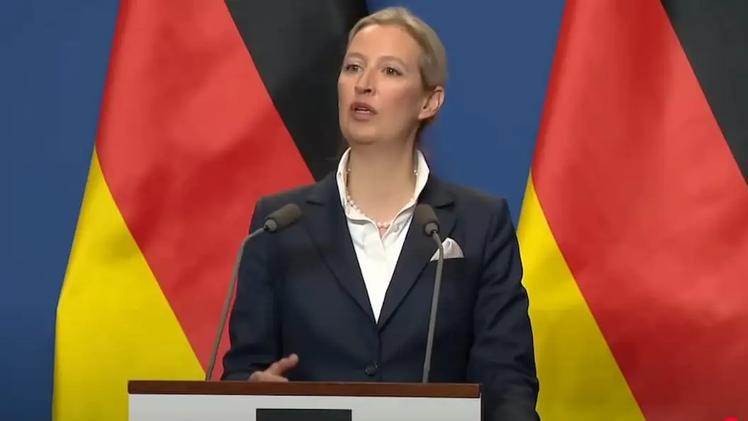 afd  Alis Vajdel