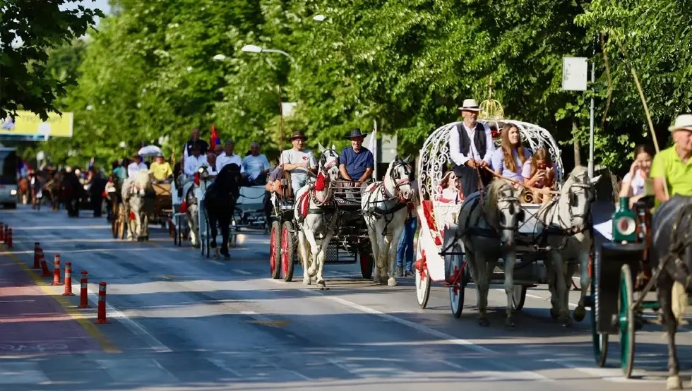 defile kocija
