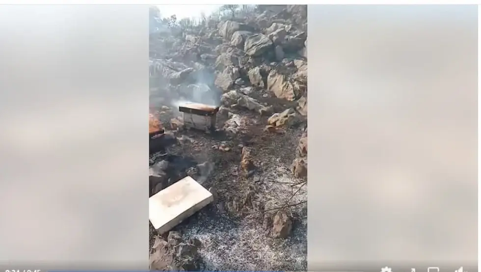 (VIDEO) Izgorio pčelinjak u velikom požaru u Trebinju