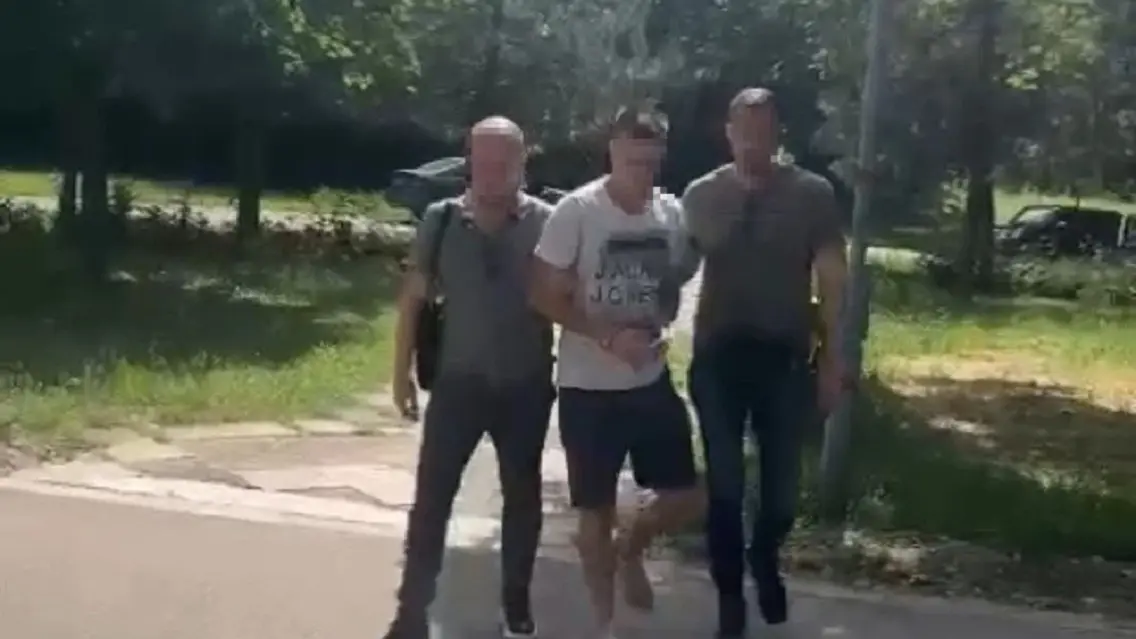hapsenje pavlovic