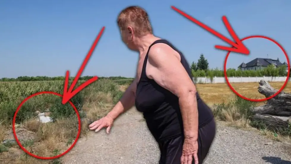 ubistvo u staroj pazovi