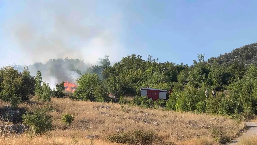 I dalje bukte požari u trebinjskim brdima