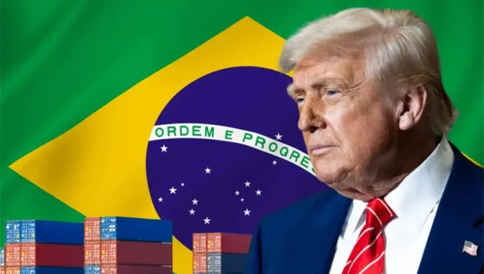 Tramp brazil