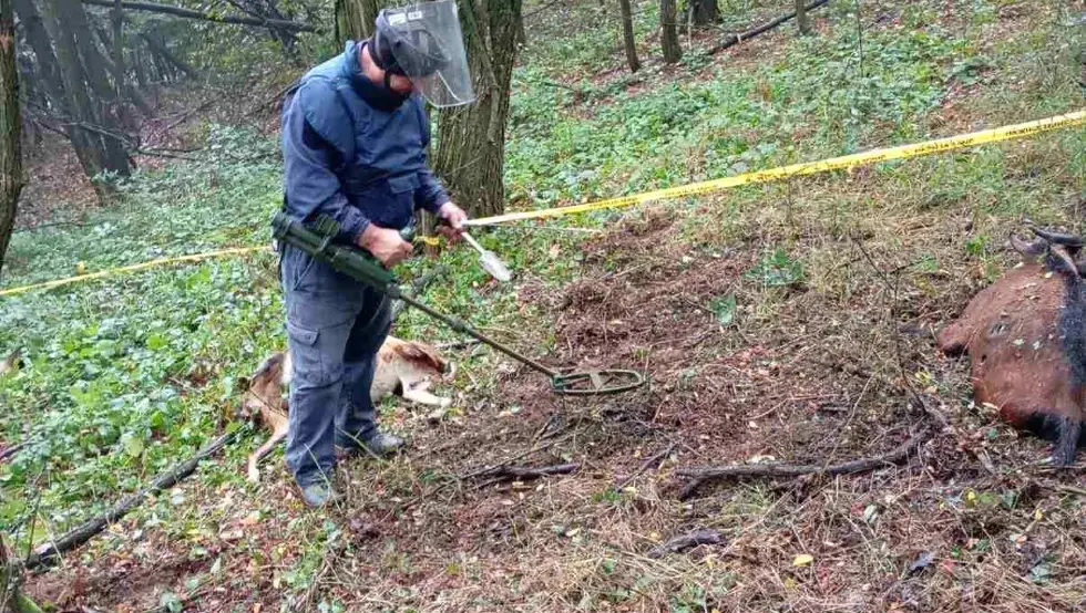 Demineri nakon tragedije u Doboju pretražili teren, minu aktivirala koza