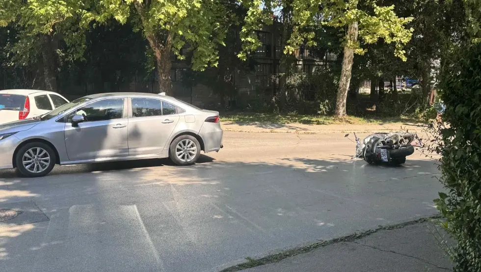 sudar starčevica