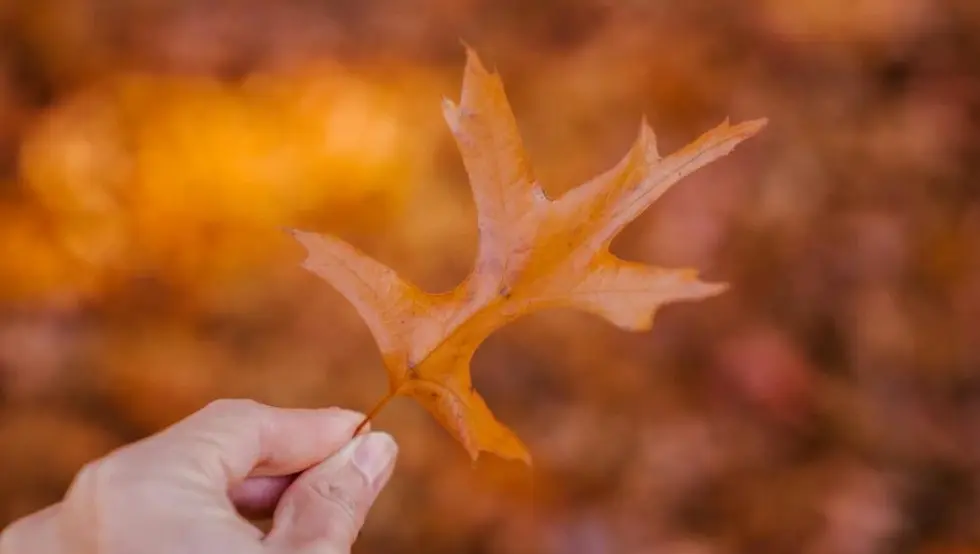 Kakvo nam vrijeme donosi septembar