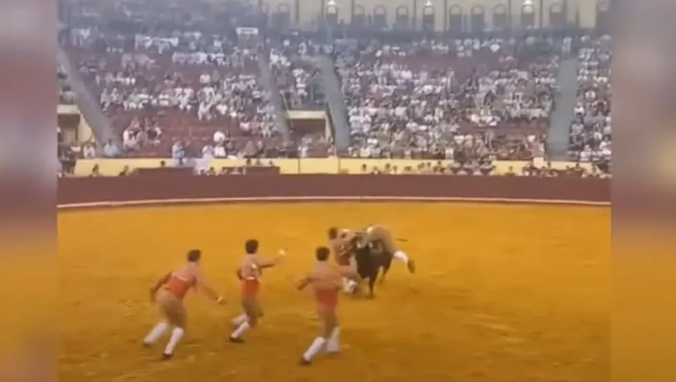 Matador