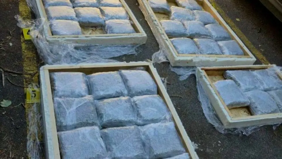 Zaplijenjeno 60 kg marihuane u Novom Sadu, uhapšen državljanin Crne Gore