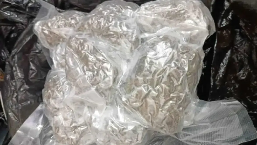 U Doboju kod jednog lica pronađeno pola kilograma marihuane