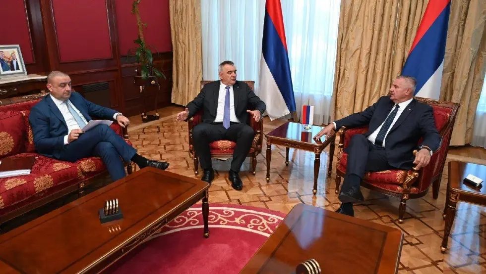 višković minić
