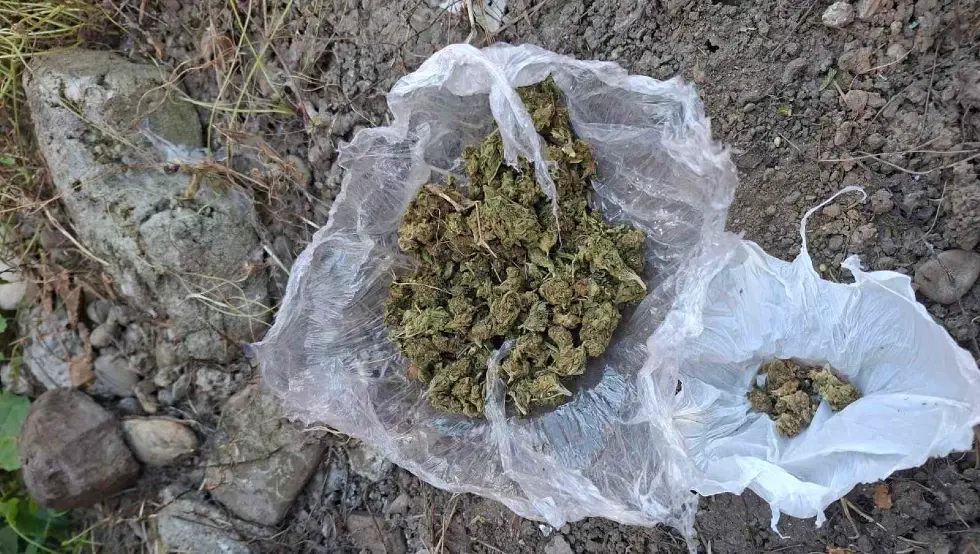 (FOTO) Akcija "Sprinter": Uhapšene dvije osobe, zaplijenjena droga