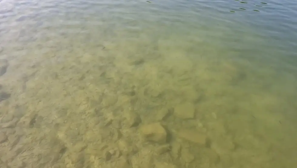 Rijeka Una, zagadjenje