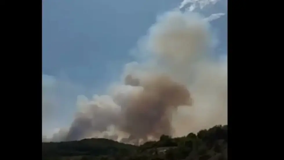 Bukti požar kod Leskovca