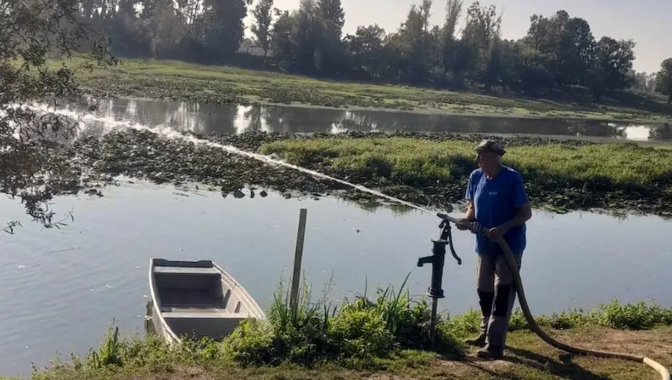 Ribolovci spasili riblji fond u zaštićenoj bari Tišina
