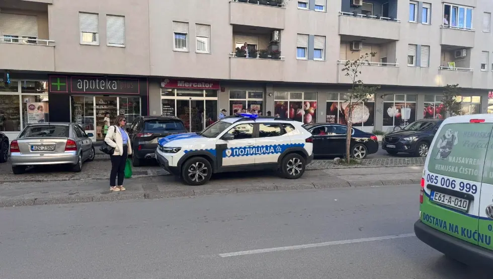 Starčevica, tuča