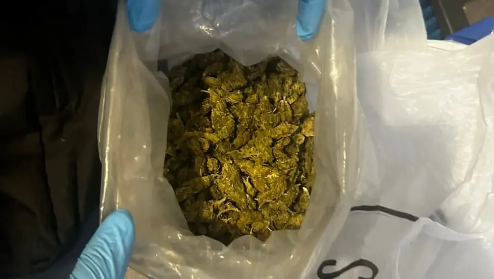 Zapljenjena droga