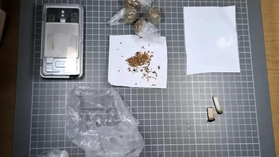 Prilikom pretresa stana u Doboju pronađena i oduzeta droga