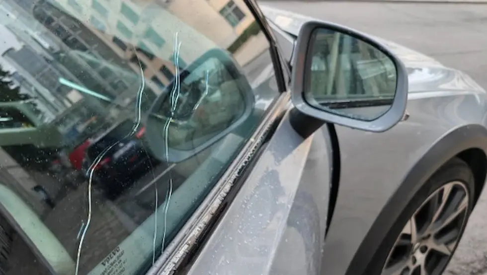 Pucano na automobil poljskog poslanika