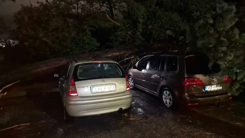 Olujno nevrijeme u Mostaru: Vjetar čupao stabla iz korijena