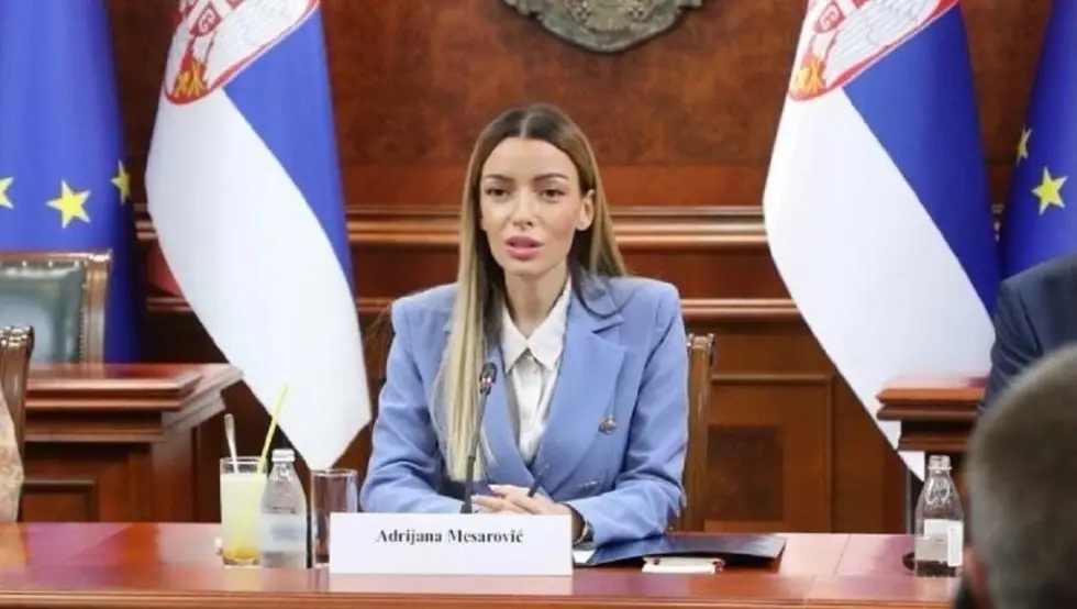 Месаровић: На хрватској граници сам доживјела страшан третман