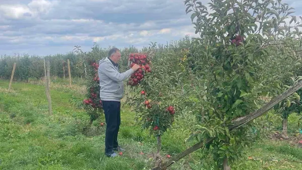 Milorad Dodik u voćnjaku