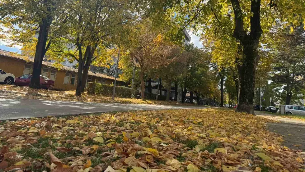 јесен бањалука лишће