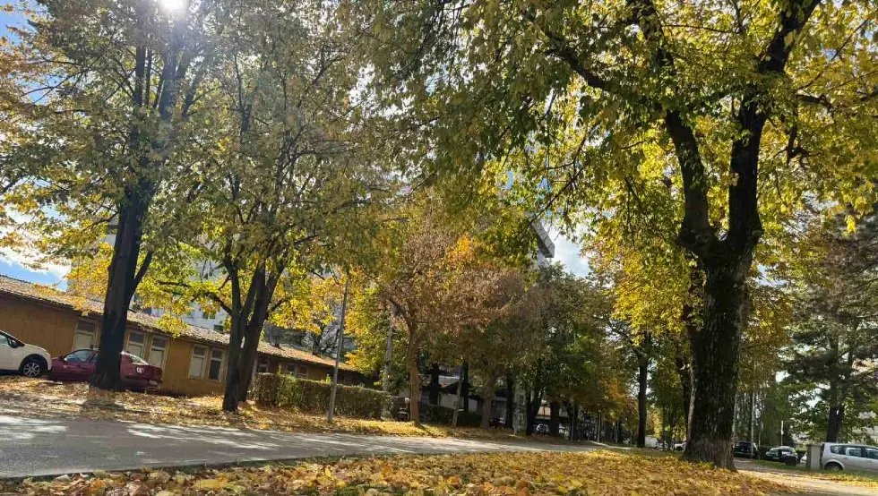 јесен бањалука лишће