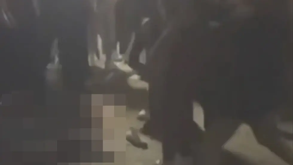 Монструозни напад у Словенији