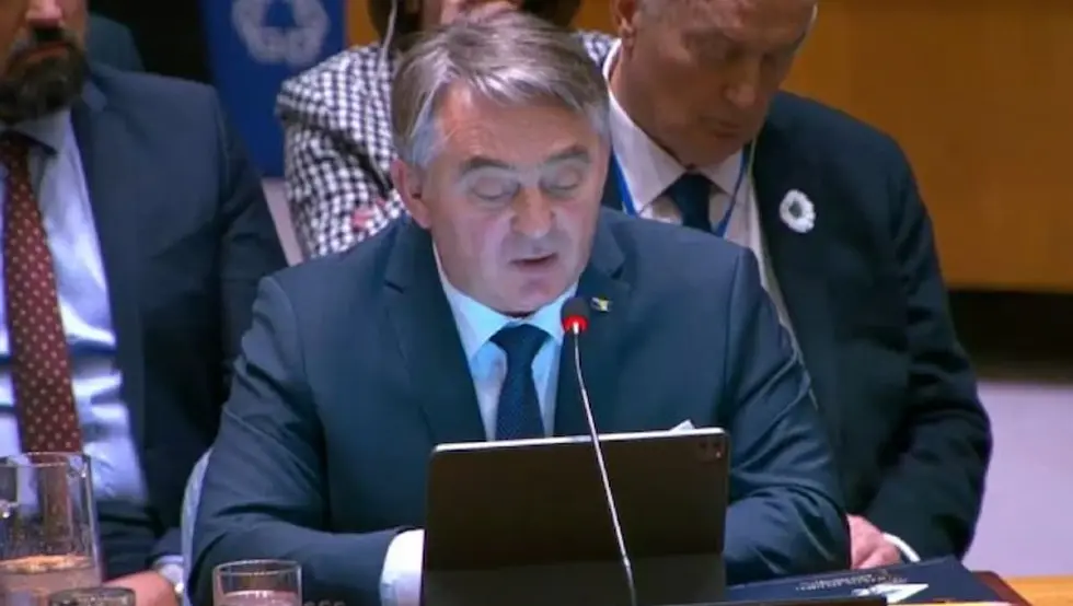 И Комшић се одриче Шмита: Предлаже именовање новог "високог представника"