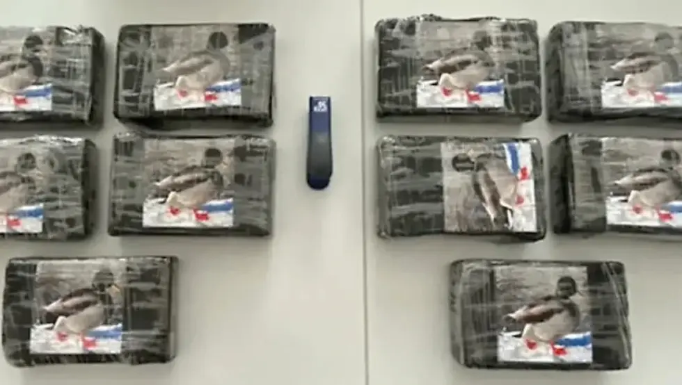 Prijedorčanin Vanja Vuković ”pao” u Austriji zbog šverca 10 kilograma kokaina