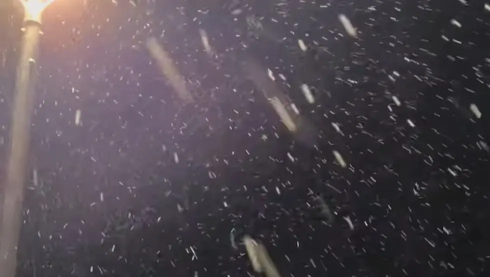 Pada prvi snijeg u Srbiji