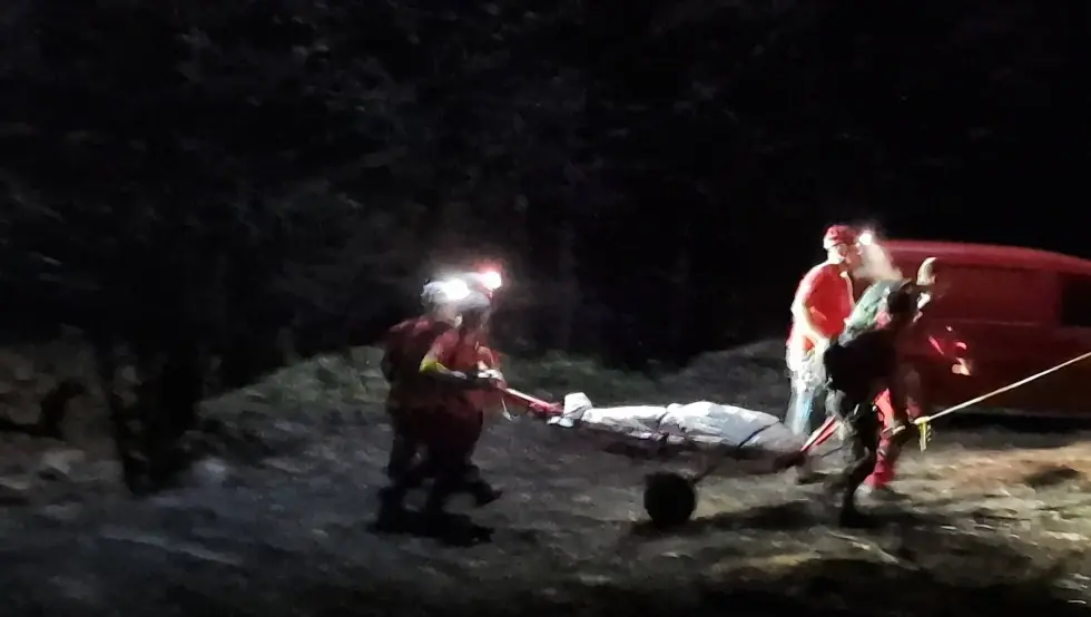 Ужас код Жепча: Младић погинуо током радова у шуми