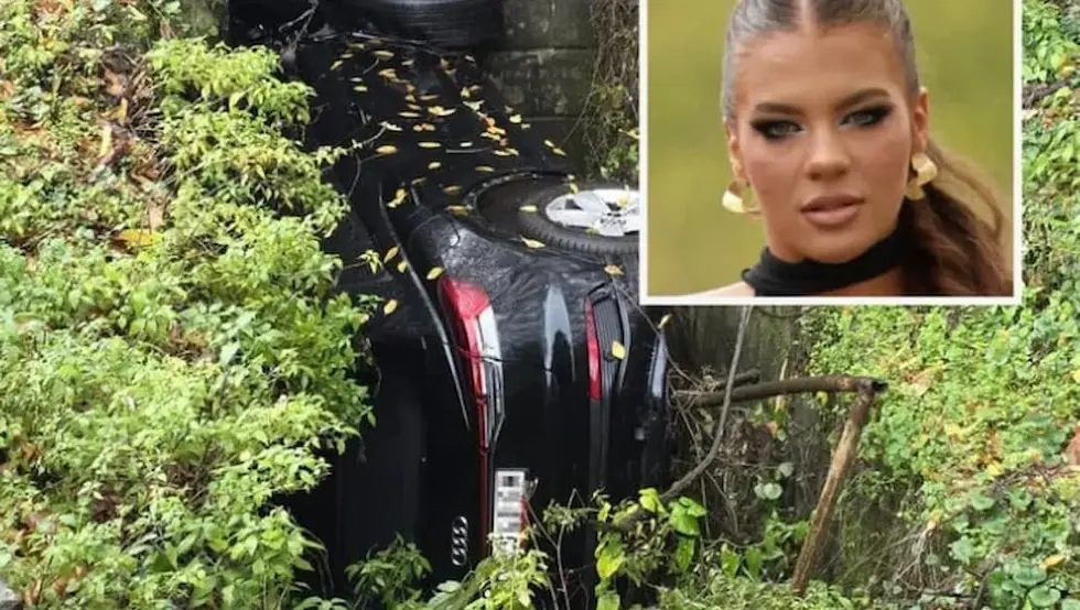 нестанак чачак