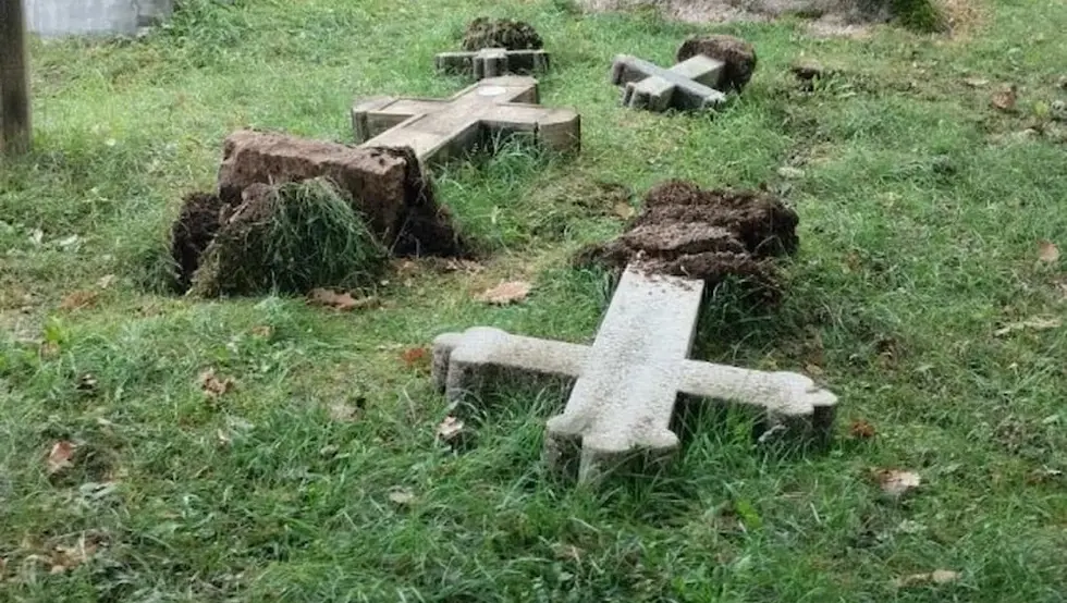 Зеница споменици