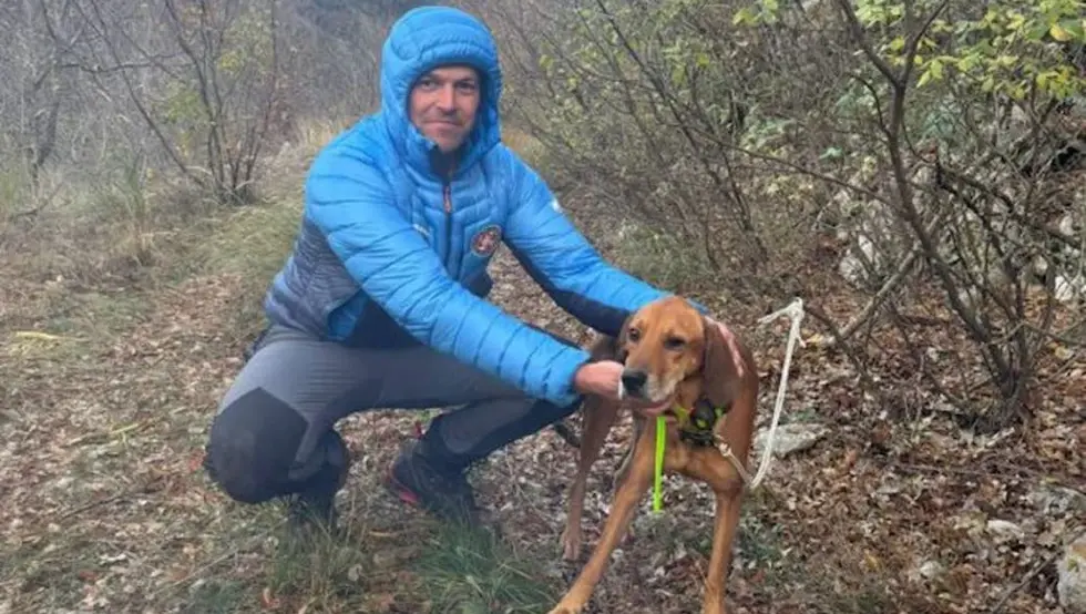 спасавање паса