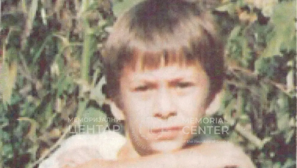 Ненад Батиница