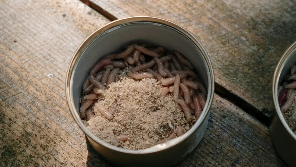 Црви откривају тајну за дужи живот