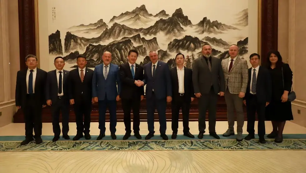 вишковић кина