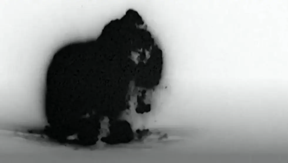 Американци извршили напад на терористе