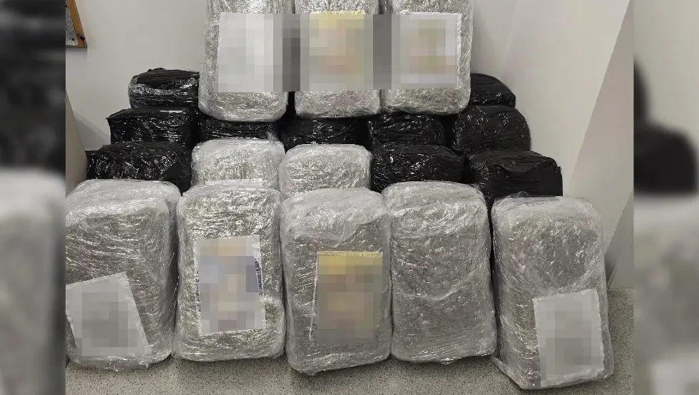 Дрога Србија