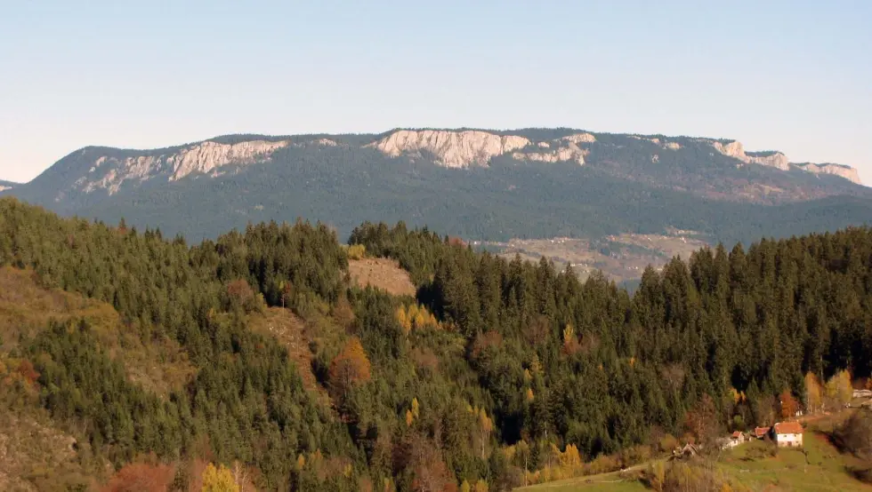 шума Романија Пале јесен зима