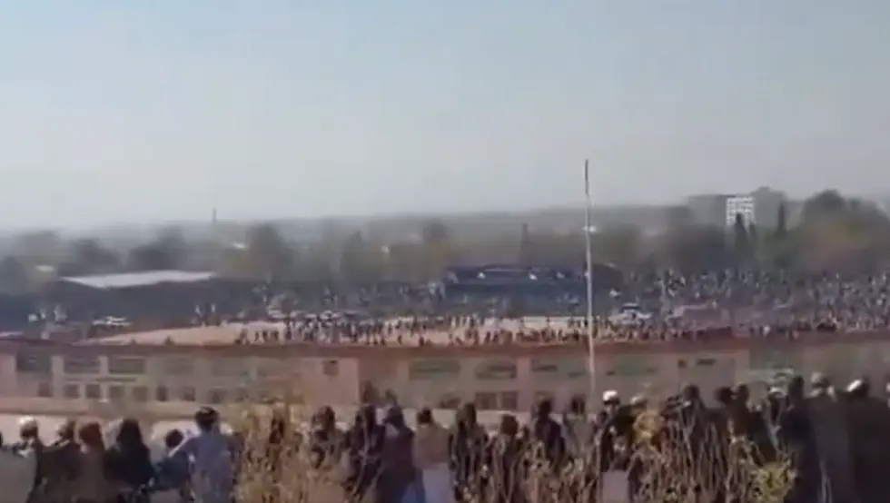 Егзекуција талибани