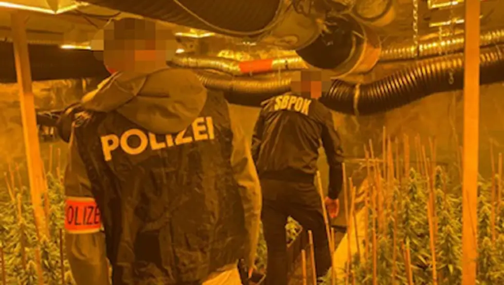 Акција Србија и Аустрија