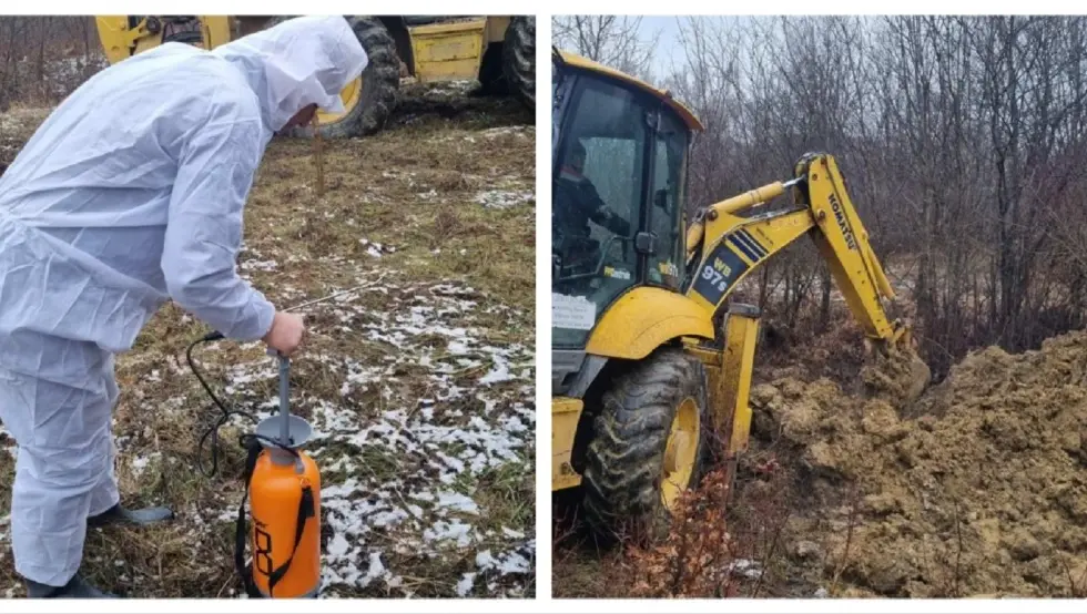 Министарство након што је потврђен антракс код говеда у Шипову: Ситуација изузетно озбиљна